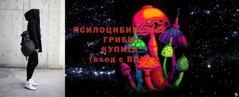 Псилоцибиновые грибы MAGIC MUSHROOMS  закладка  Таштагол 